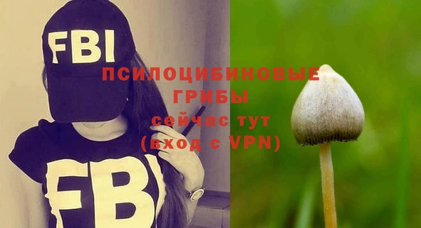 2c-b Валдай